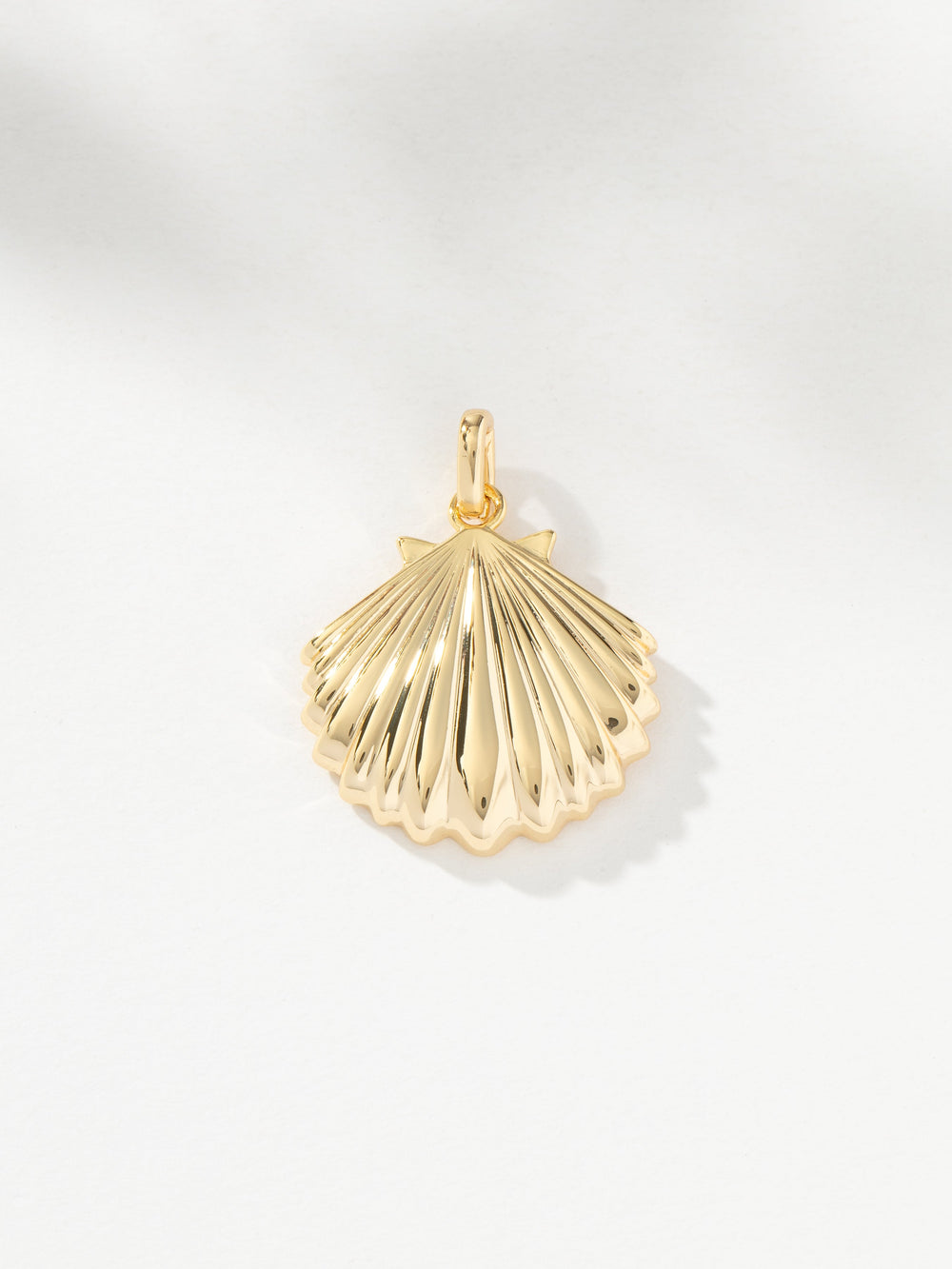 Clamshell Charm